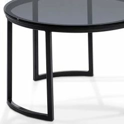 80cm Runder Designtisch Mit Rauchglas Platte - Bertrin 6 80cm Runder Designtisch Mit Rauchglas Platte - Bertrin -Bouquet-shop 80cm runder designtisch mit rauchglas platte und buegelgestell schwarz bertrin 02