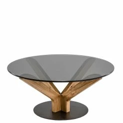 Eleganter Rauchglas Couchtisch 100x44x100 Cm - Glitt