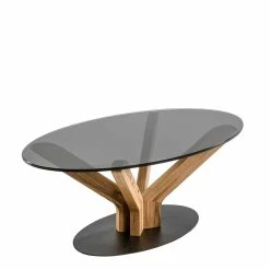 Ovaler Wohnzimmer Tisch Mit Rauchglasplatte - Ciribati